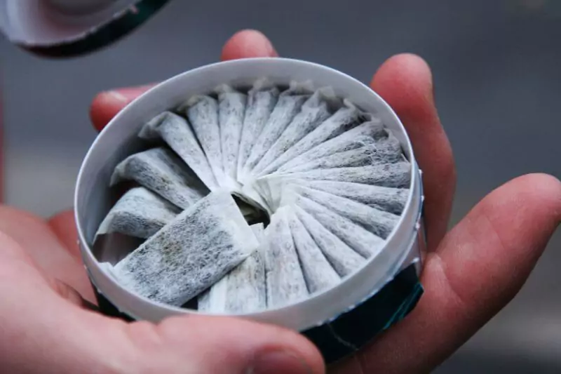 Person holding an open snus tin, displaying snus inside with the lid opened.